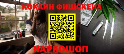 дмт Кингисепп