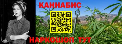 дмт Кингисепп
