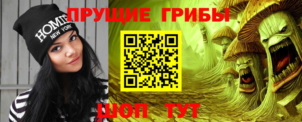 Красноуфимск  Псилоцибиновые грибы MAGIC MUSHROOMS  Вход с VPN  Галлюциногенные грибы ЛСД 